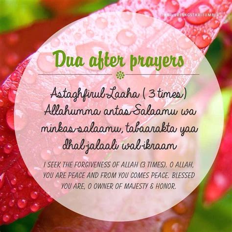 Dua After Prayers Islamic Quotes Quran Islam Facts Dua For Ramadan