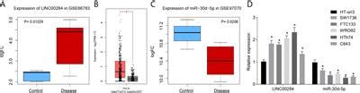 Frontiers RETRACTED The Role Of LINC00284 In The Development Of