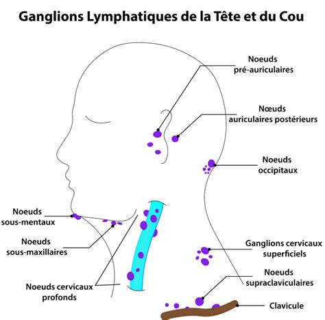 Cancer De La Langue Causes Manifestations Et Traitements