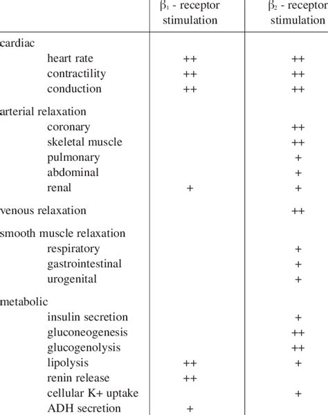 Effects Of B1 And B2 Adrenergic Receptor Stimulation Download Table