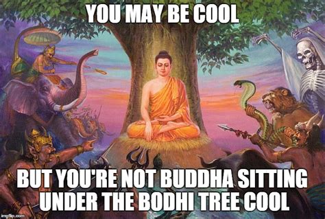 Cool Buddha Imgflip