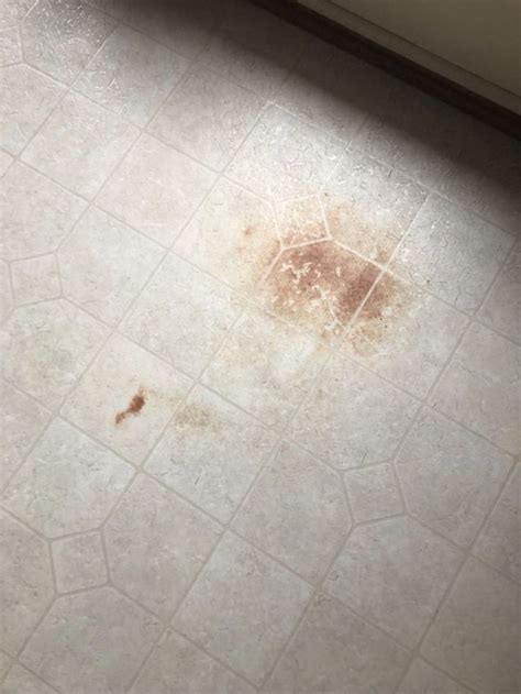 As you already know, any kind of stain is tough to remove. How do I remove stains on my linoleum? | Hometalk