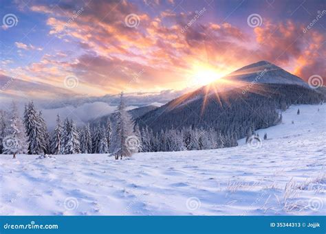 Beautiful Winter Sunrisein Mountains Stock Image Image Of Christmas