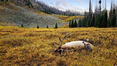 Backcountry Colorado Elk Hunting Adventure Contest Winner