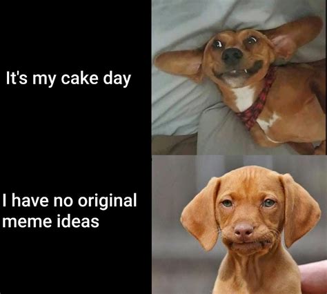 Bring Back The Disappointed Dog Rmemes