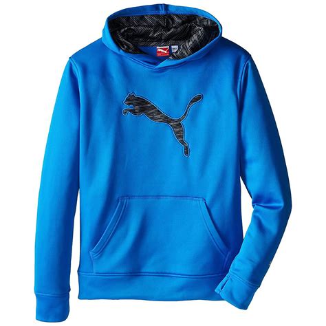 Puma Puma Cool Hoodies For Kids Boys Girls Blue Long Sleeve Fleece