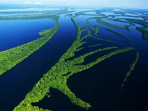 The Amazon River The Worlds Largest River
