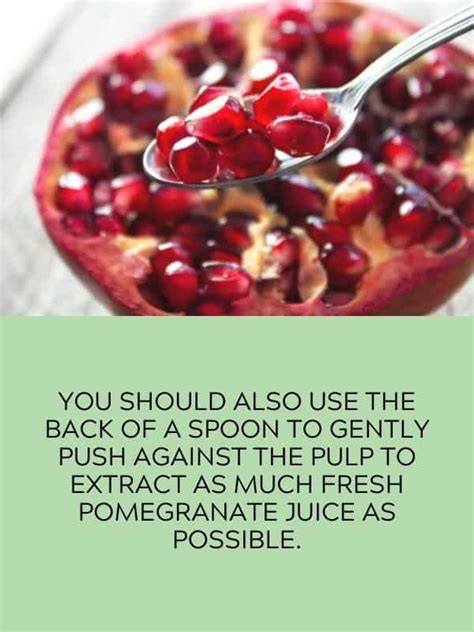 Best Pomegranate Juicer Top Six Options To Buy