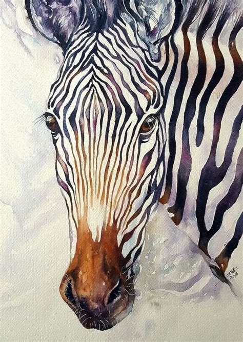 Zello Grevys Zebra 2018 Watercolour By Arti Chauhan Zebra