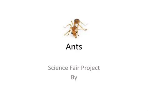 Ppt Ants Powerpoint Presentation Free Download Id2520495