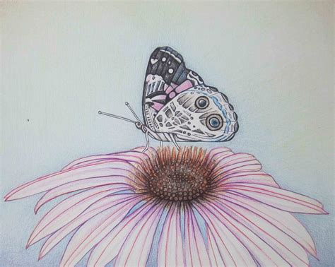 Nuovo Disegno A Matite Colorate Farfalla Migliori Pagine Da Colorare