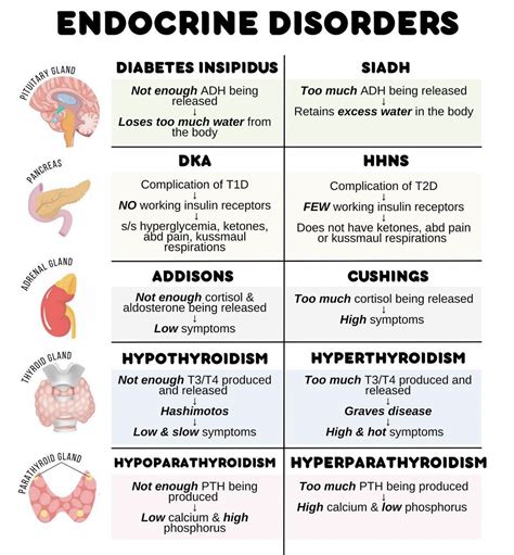 Endocrine Disorders Endocrine Endocrinedisorders Grepmed