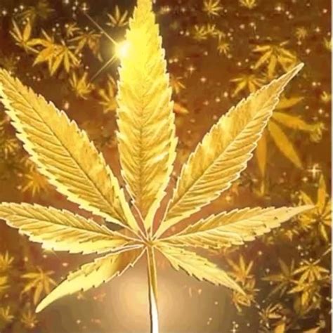 420 Weed Wallpapers Collection Android Wallpaper Wallpaper For Android