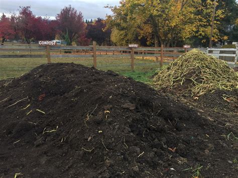 Potting mixes, composts, mulches & manures. Community Compost, Manure and Mulch Piles