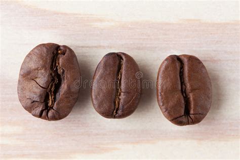 Three Roasted Coffee Beans Closeup Stock Image Image Of Ingredient