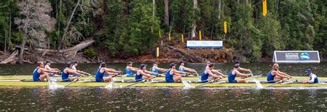 Southbank News Southbank Directory Rowing Victoria