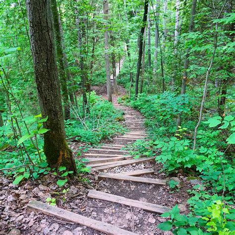 Hiking The Bruce Trail Limehouse Devils Pulpit And Rattlesnake Point