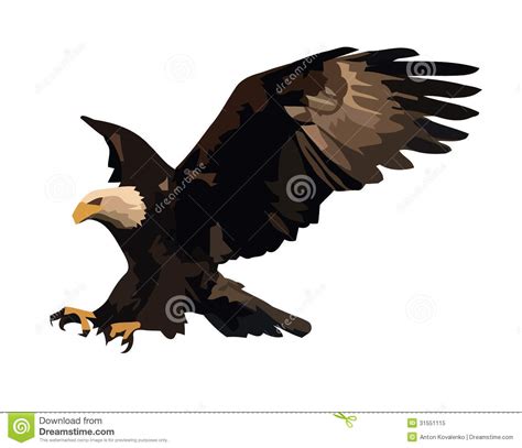 Eagle Landing Royalty Free Stock Photo Image 31551115