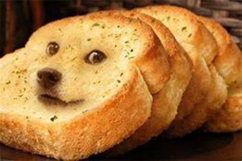 Doge Garlic Bread Doge Know Your Meme