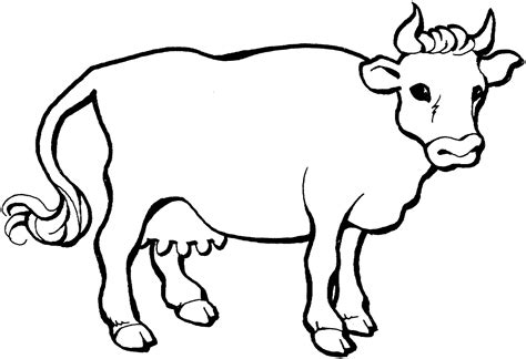 Free Printable Cow Coloring Pages For Kids Animal Place