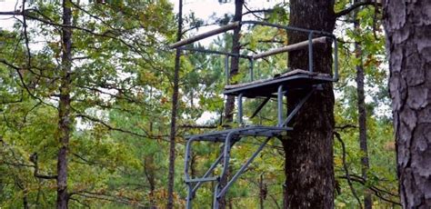 Placing A Tree Stand Resident News Network