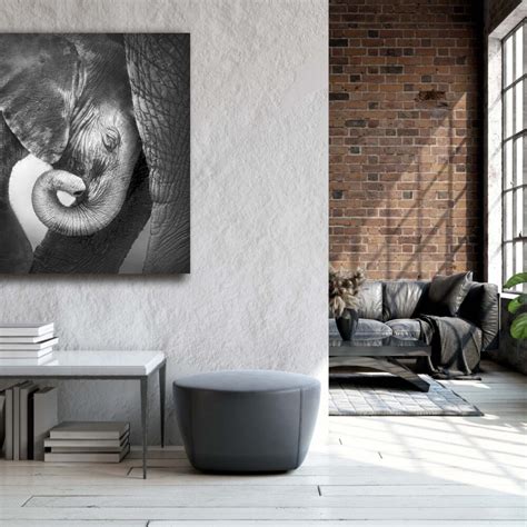 Baby Elephant Stocky Art Is Fotokunst Op Plexiglas En Dibond