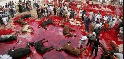 Passages in the quran, the sayings and customs of the prophet muhammad, which were. Say No To Halal - Franklin County Va. Patriots - Fighting ...