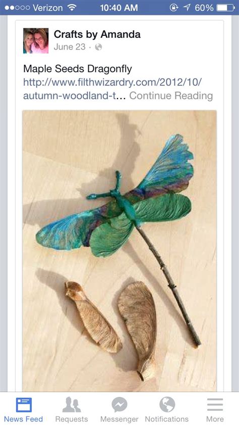 Maple Seed Dragonfly Crafts To Do Fall Crafts Twig Crafts Dragonfly