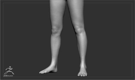 3d Model Average Caucasian Female Body Vr Ar Low Poly Cgtrader