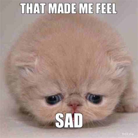 Sad Cat Memes We All Can Relate To In Daily Life