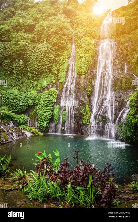 Tropical Rainforest Waterfalls Real
