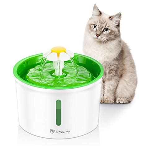 Best Dog Water Fountains 2021 Top Rated Pet Water Fountains