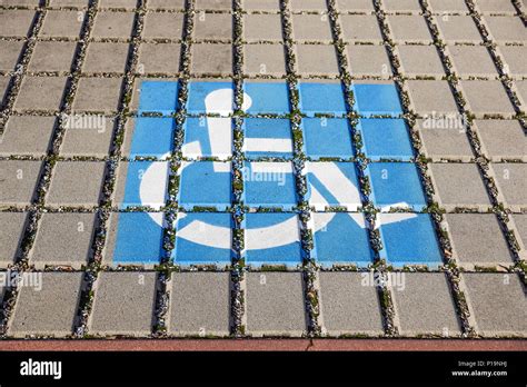 Handicapped Parking Spot Transportation Infrastructure Road Markings