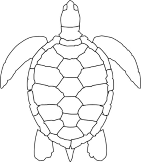 Turtle Outline Jpg : Sea turtle outline sea turtle turtle outline sea outline symbol icon sketch ...