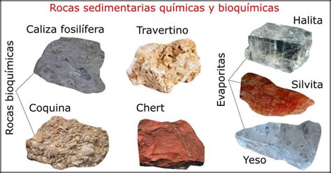 Como Se Forman Las Rocas Sedimentarias Dinami