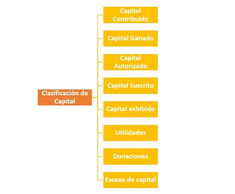 Clasificación De Capital ¿cómo Se Clasifican