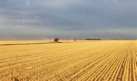 Wheat Harvest Is Underway In The Nebraska Panhandle Brownfield Ag News