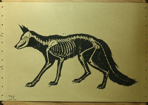 Fox Skeleton By Kaputtgemenscht On Deviantart
