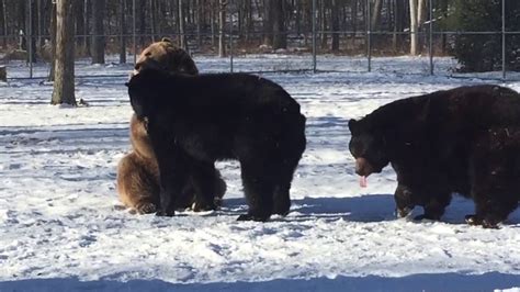 Tussel tonks boss aggro conversation. Frankie and Jenny tussle - YouTube