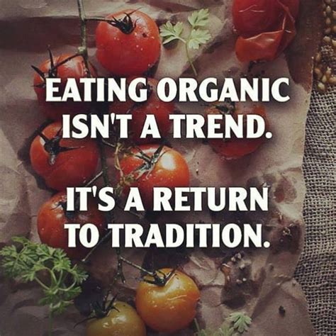 Leading a healthy lifestyle requires the consumption of healthy foods, the addition of fruits and vegetables to your daily diet. 120 best images about Healthy eating quotes on Pinterest ...