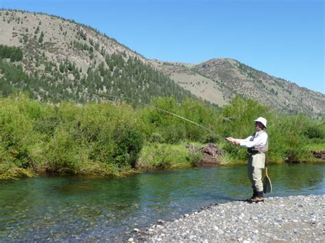 Fly Fishing An Idaho Trout Stream Cleared For Takeoff The Triporati
