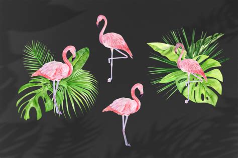 Watercolor Flamingo Clipart Tropical Pink Famingo Summer