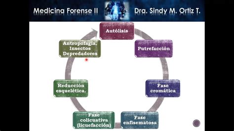 Medicina Forense 2 Pty Unidad 1 Youtube