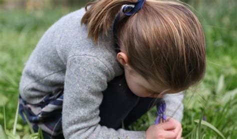 From roses and daisies to fragrant lilies or lush hydrangea, each bouquet of gifttree flowers is hand cut and arranged by expert florists who are dedicated to giving. Why This Photo Of Princess Charlotte It's So Special To ...