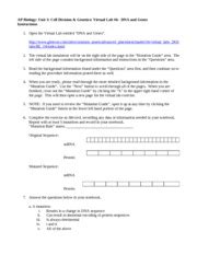 Dna replication and protein synthesis worksheet answer key dna replication and protein it is dna. look at the Original sequence of mRNA given determine the ...