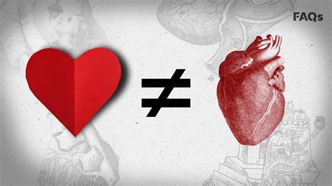 Valentines Day Why The Heart Icon Looks Nothing Like A Human Heart ️