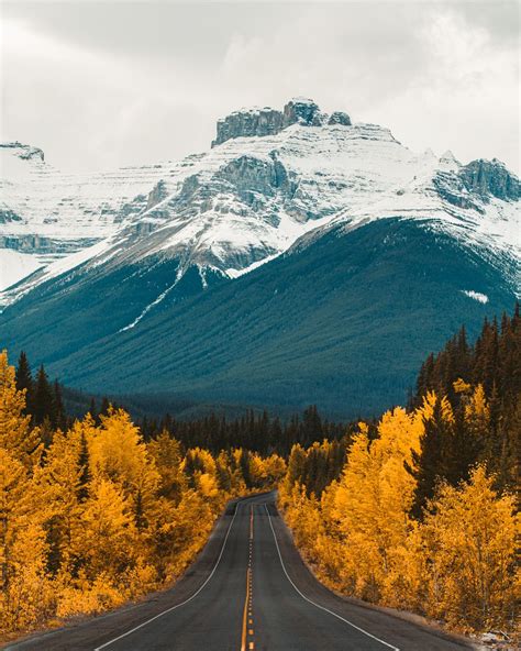 What To Do In Banff This Fall Season A Foliage Guide Dani The