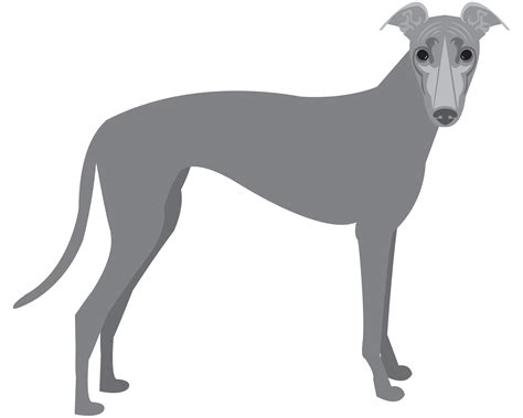 Early in world war ii, an inexperienced u.s. greyhound png 10 free Cliparts | Download images on ...