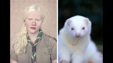 Top 10 The Rarest Albino Creatures In Nature Completely White And