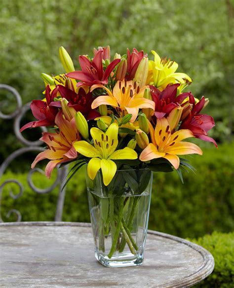 Top Tips For Success With Lilies